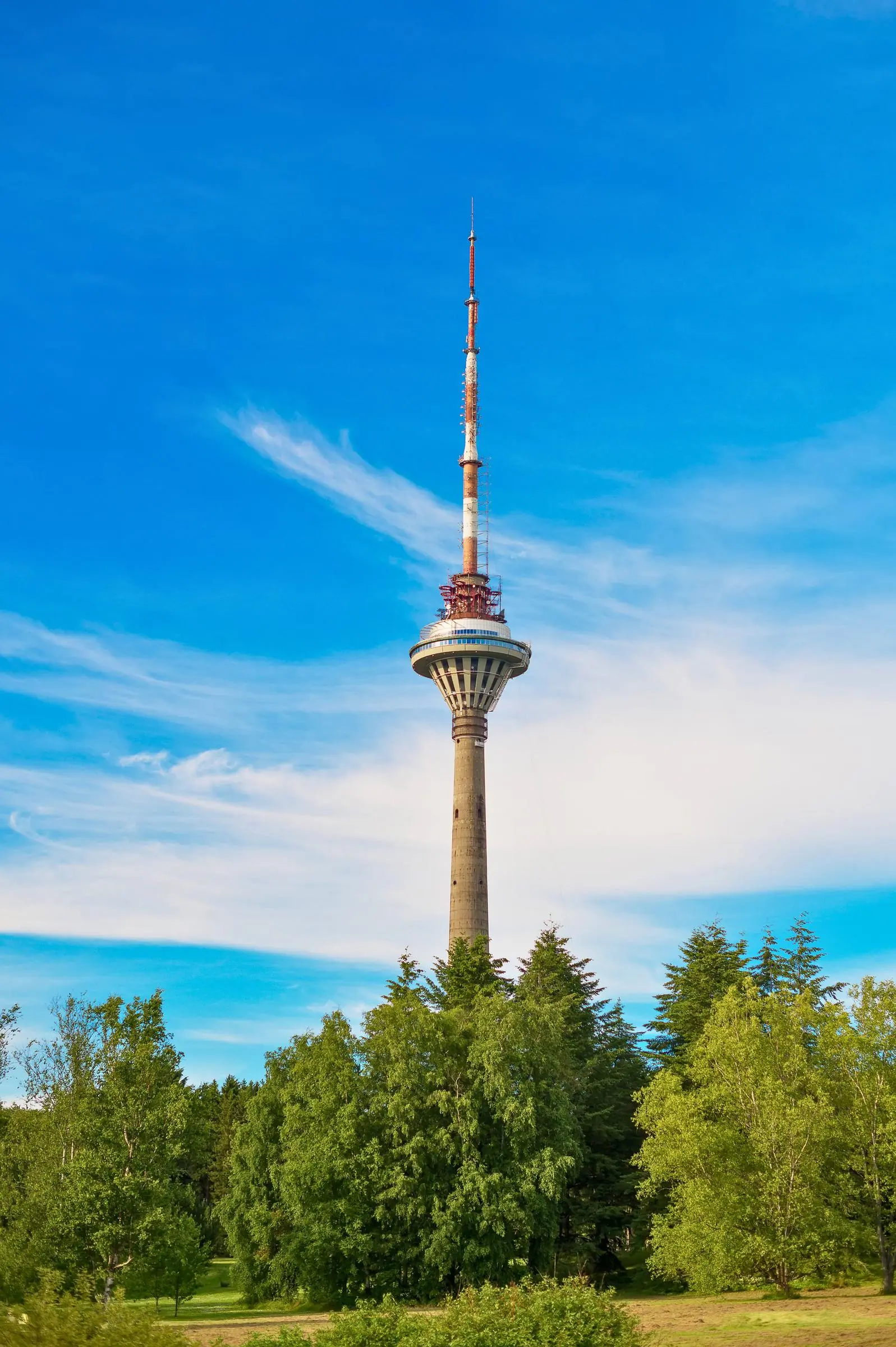 The Tallinn TV Tower rising above the pine forests of Pirita
